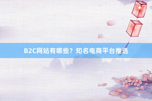 B2C网站有哪些?知名电商平台推选