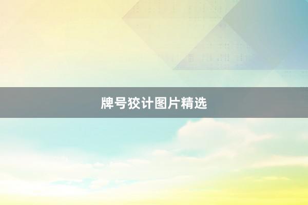 牌号狡计图片精选