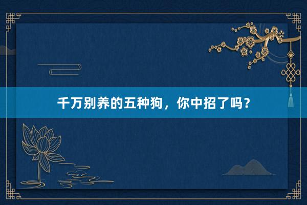 千万别养的五种狗，你中招了吗？
