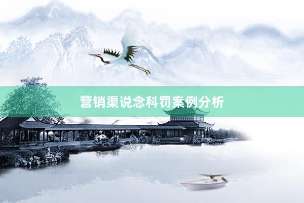 营销渠说念科罚案例分析